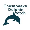 Chesapeake Dolphin Watch