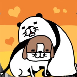 Panda and Dog: Always Dog Cute