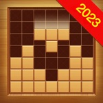 Wooden Block Puzzle Premium