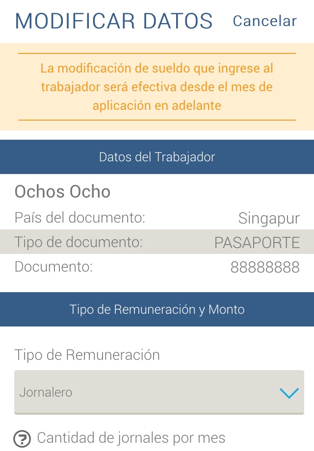 BPS Trabajo Doméstico screenshot 4