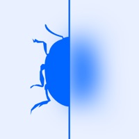 Bug ID: Insekten Bestimmen apk