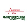 Auctioneer Alley