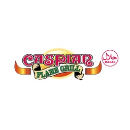 Caspian flame grill hotsell