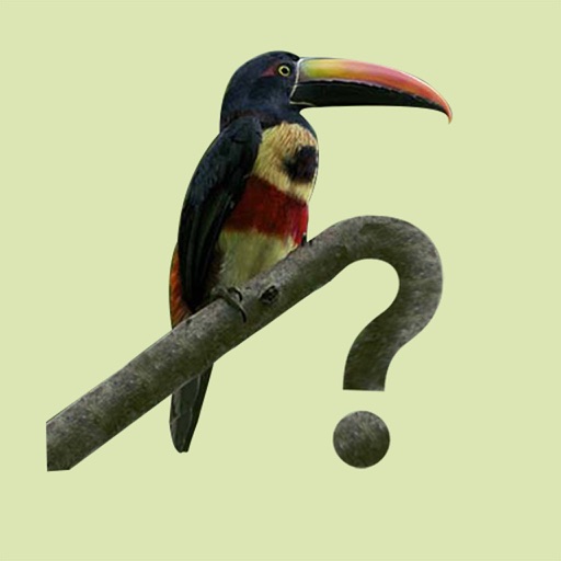 Costa Rica Birds iOS App