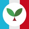 Icon Learn French with Seedlang