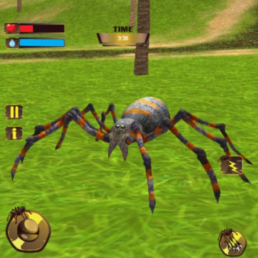 Wild Spider Tarantula Hunter