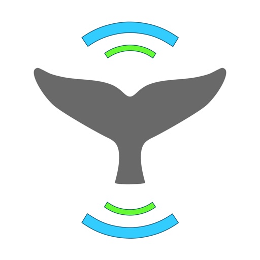 whale alert io investavimas kriptovaliut iki ico