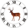 Get Best Hunting Times for iOS, iPhone, iPad Aso Report