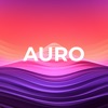 Auro: Voice memos summaries