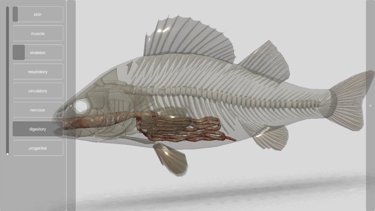 3D Fish Anatomy screenshot-4