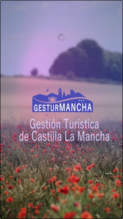 GesTurMancha