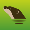 Canal Safari ios app