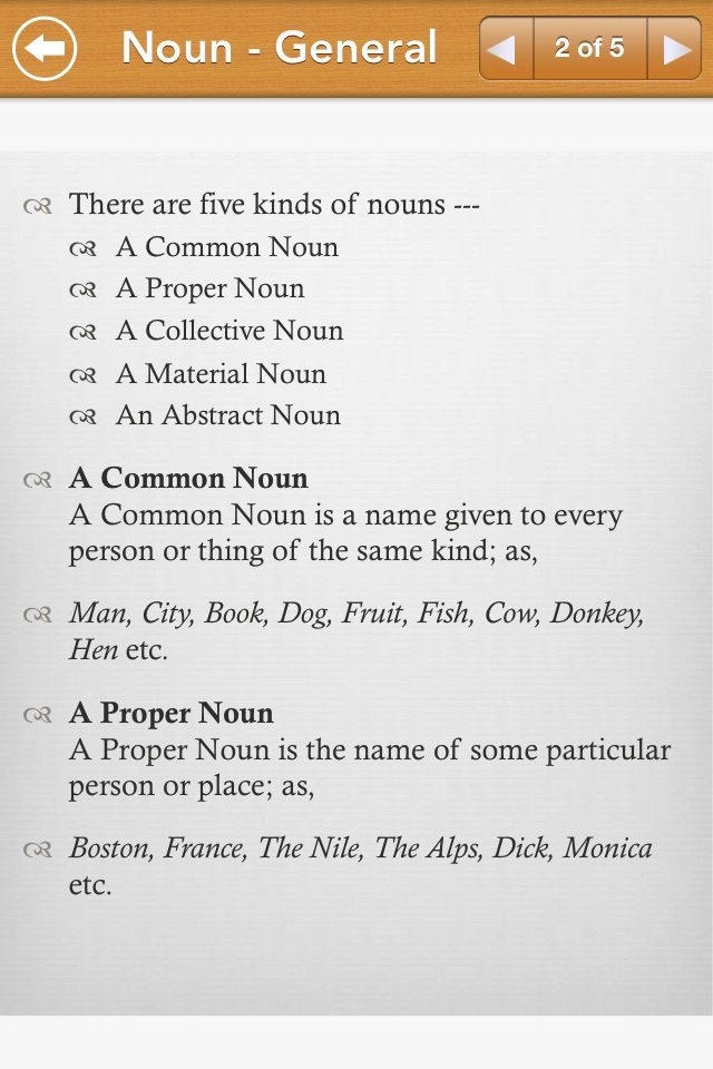 Grammar Express: Nouns Lite screenshot 3