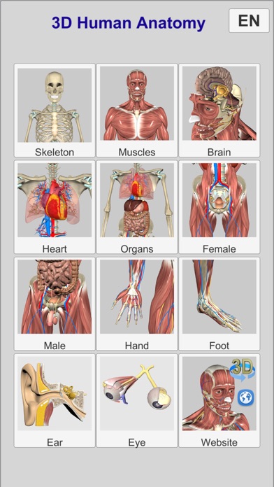 3D Anatomy Screenshots