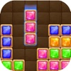 Block Puzzle Plus-puzzle brain