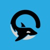 Orca VPN