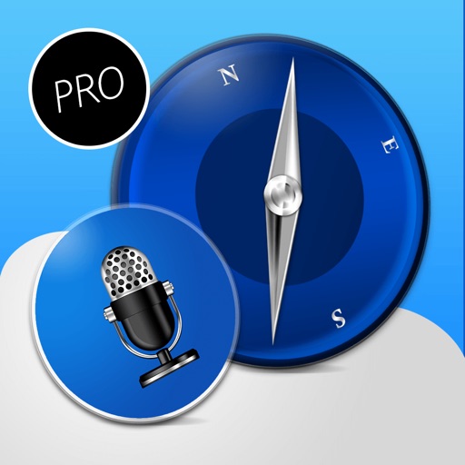 Voice Reader For Web Pro