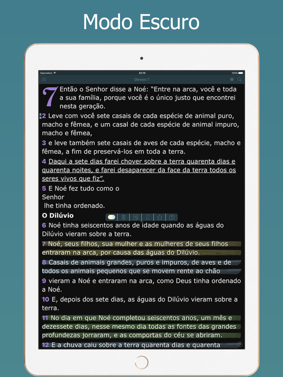 Áudio Bíblia NVI em Português screenshot 3