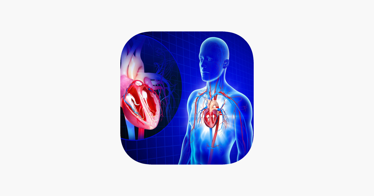 ‎Circulatory System Anatomy On The App Store