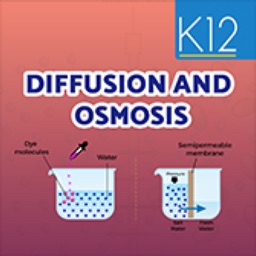 Diffusion and osmosis