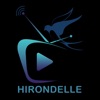 Hirondelle Haiti