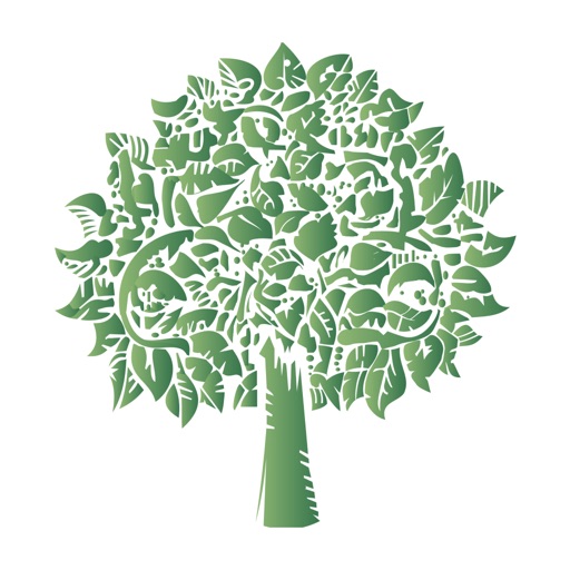 Липецкая область online Download