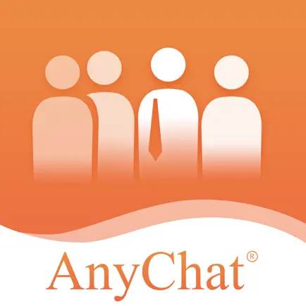 AnyChat智能排队 Читы