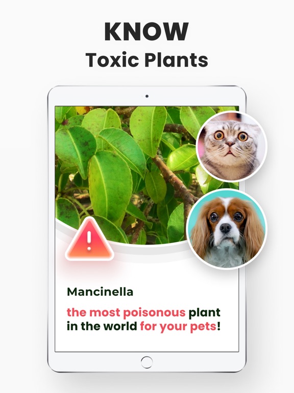 PlantMe - AI Plant Identifier screenshot 4