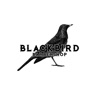 Blackbird Barbers