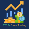 Learn Bitcoin & Forex Trading - Muhammad Mubeen