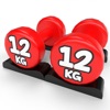 Icon Match Dumbbells