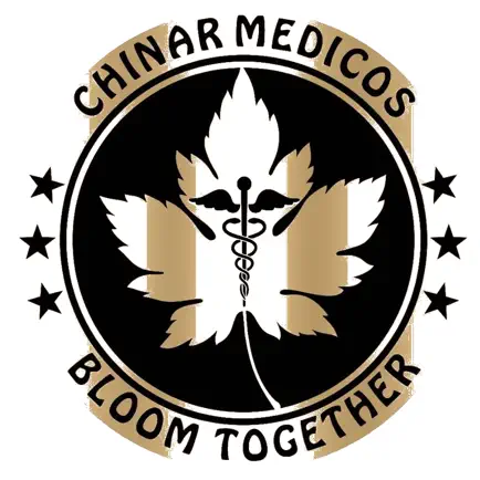 Chinar Medicos Читы
