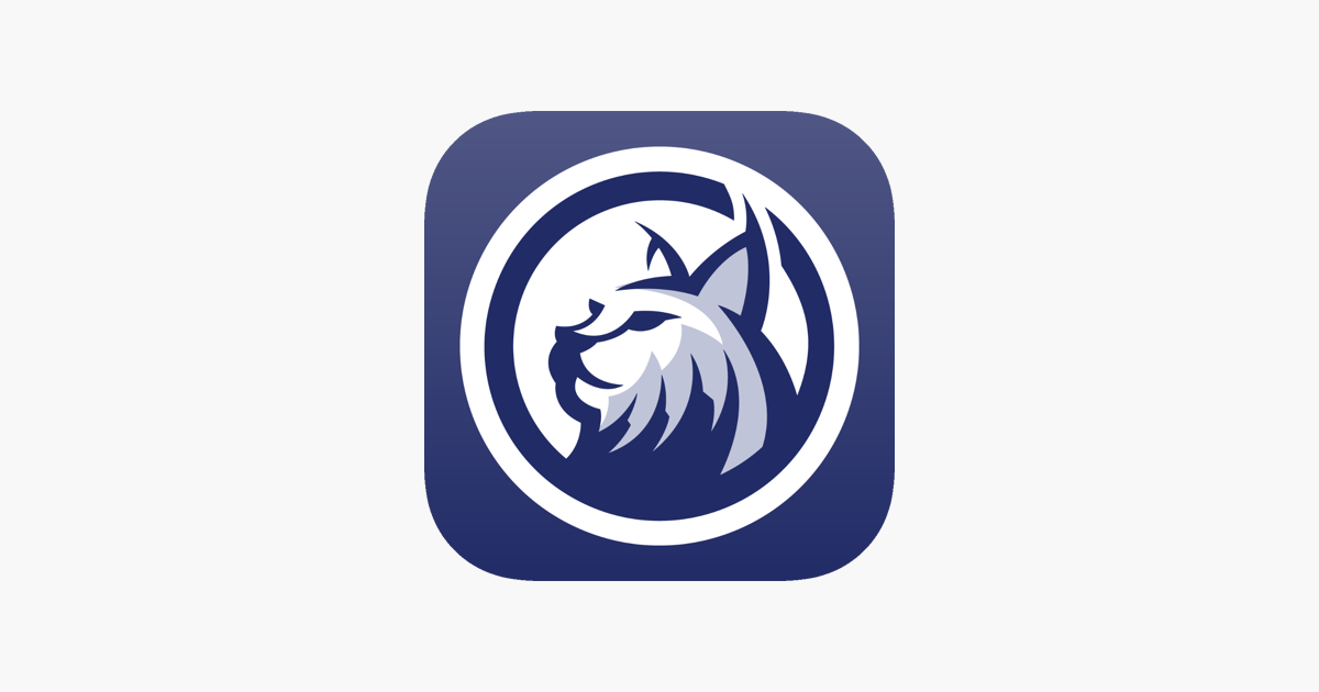 lynx crypto