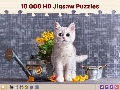 Cheats for Jigsaw Puzzles for Adults HD