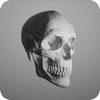 AR Scull Education