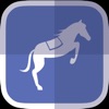 Horse Racing News & Videos