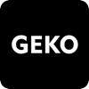 GEKO DVR