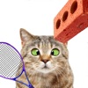 Cat Tennis - Relax Challenge