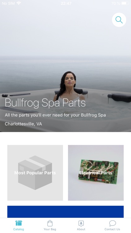 Bullfrog Spa Parts