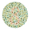 Color Blind Test (CBT)