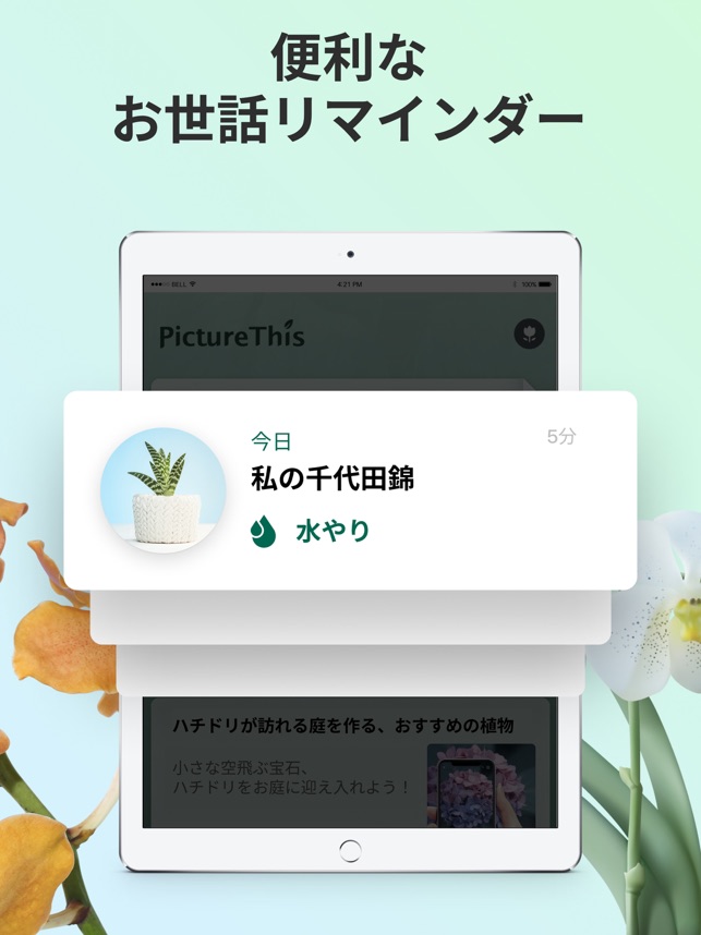 Picturethis 撮ったら 判る 1秒植物図鑑 をapp Storeで