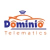 Dominio Telematics