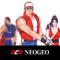 App Icon for REAL BOUT FATAL FURY SPECIAL App in Brazil IOS App Store