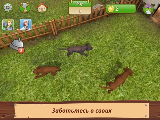 Pet World - приют для животных на iPad