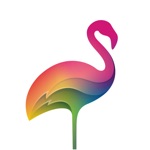 Colorfly  Coloring Book