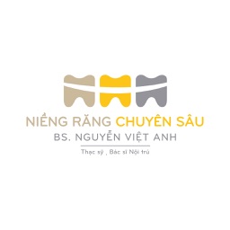 Nha Khoa Việt Anh