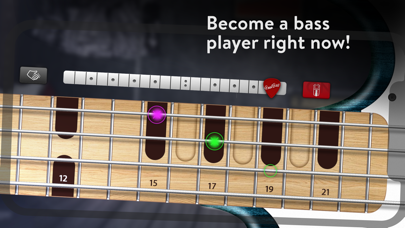 REAL BASS Electric bass guitar screenshot 4