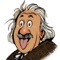 Icon Einstein Sudoku