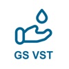 GS VST