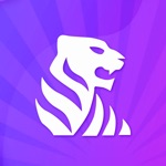 Tiger Finanční Společenství